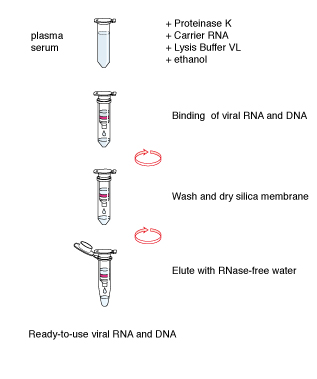 NucleoSpin Blood L