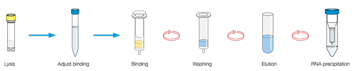 NucleoBond® RNA Soil procedure